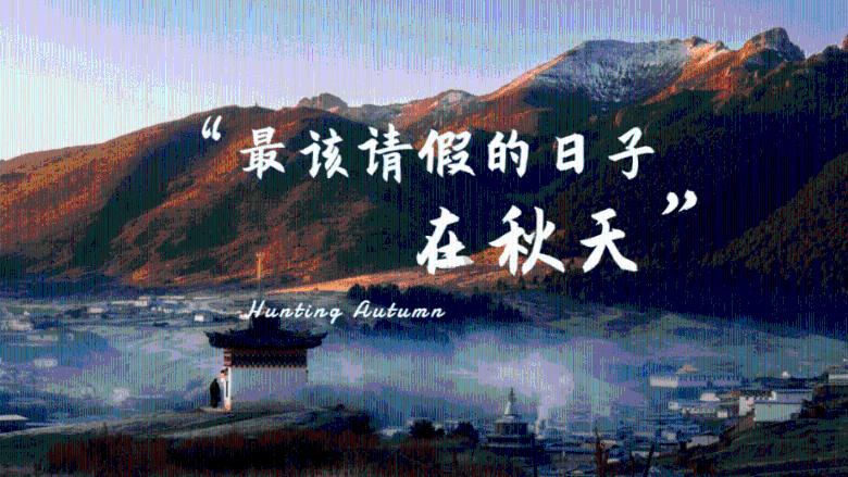 逃离天鹅森林